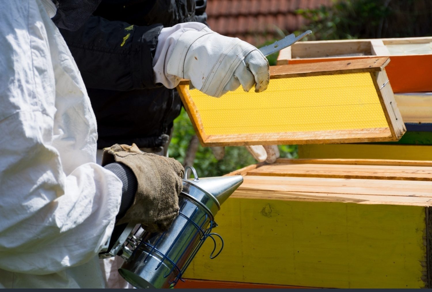 Aircraft Painting Sunshine Coast wmremove transformed 6 e1779441220197